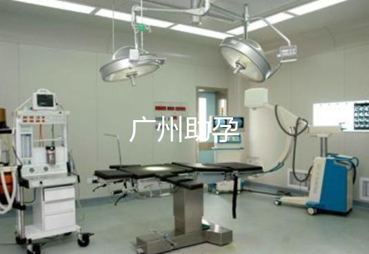 广州助孕